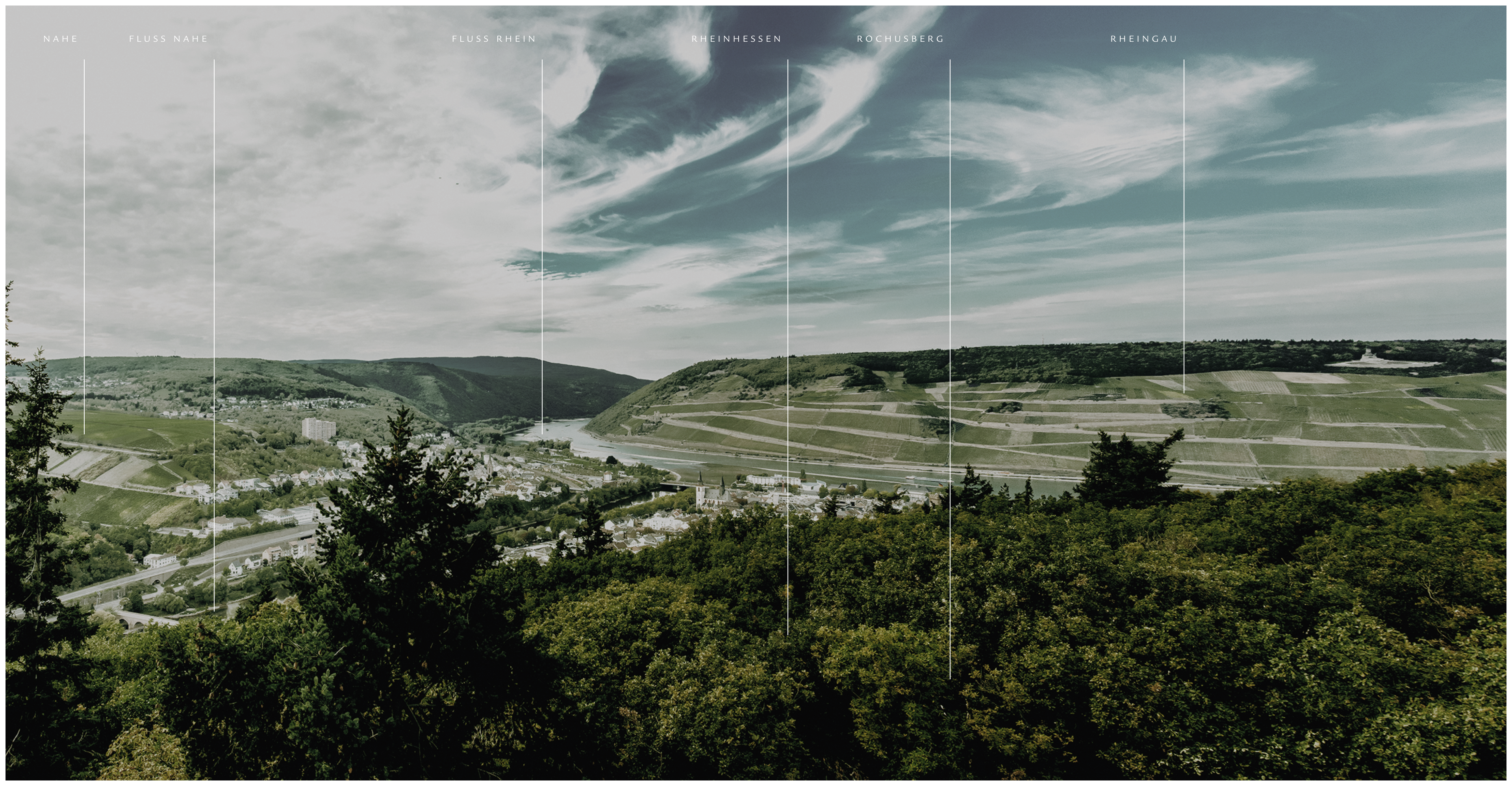 Bingen_PaoramaDesktop