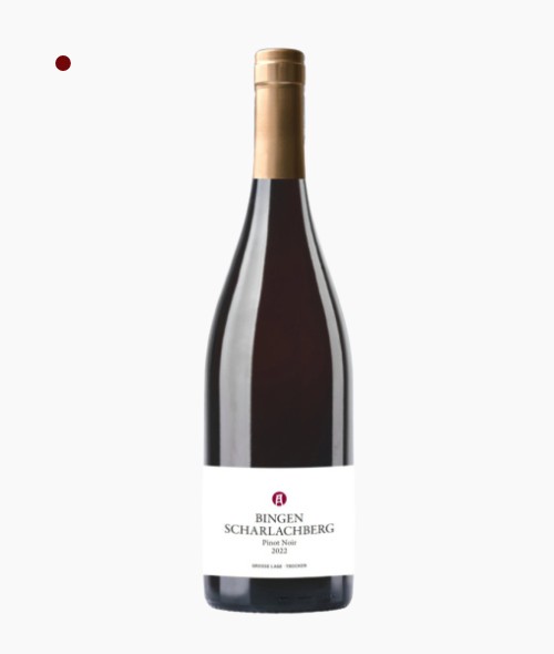 Riffel Bingen Scharlachberg Pinot Noir trocken 2022.jpg