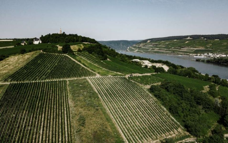 Exploring the World’s Most Iconic Wine Regions
